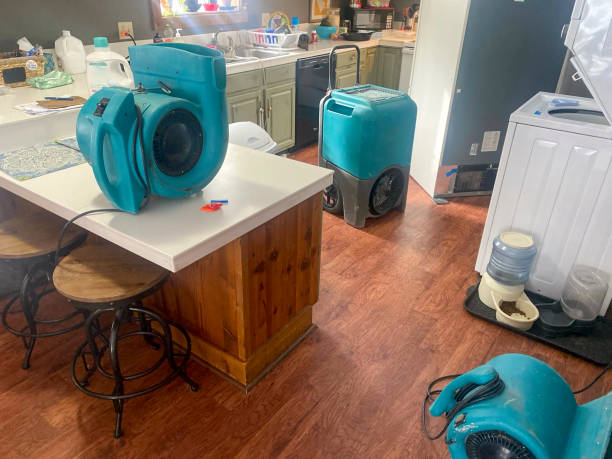 Best Local water damage restoration  in Lyons, WI