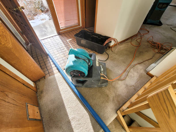 Best Water damage repair service  in Lyons, WI