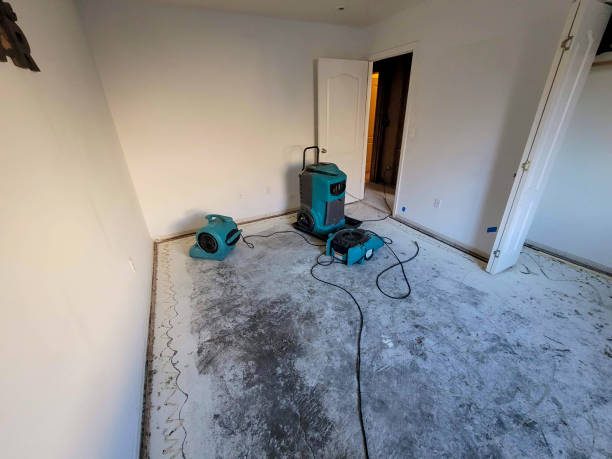 Best 24-hour water damage restoration  in Lyons, WI