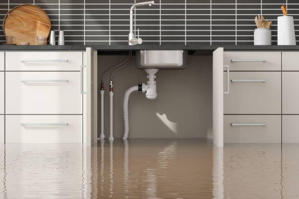 Best Fire Damage Restoration  in Lyons, WI