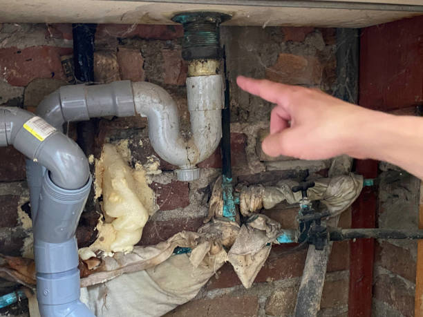 Best Mold removal after water damage  in Lyons, WI