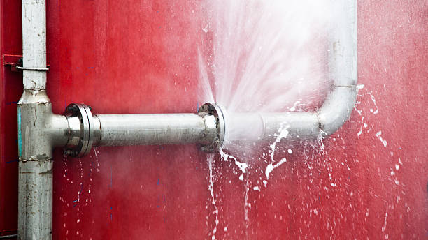 Best Flooded house restoration  in Lyons, WI